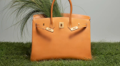 Hermès Birkin Bag