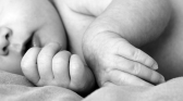 Baby bust