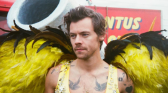 Harry Styles