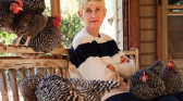 Ellen DeGeneres