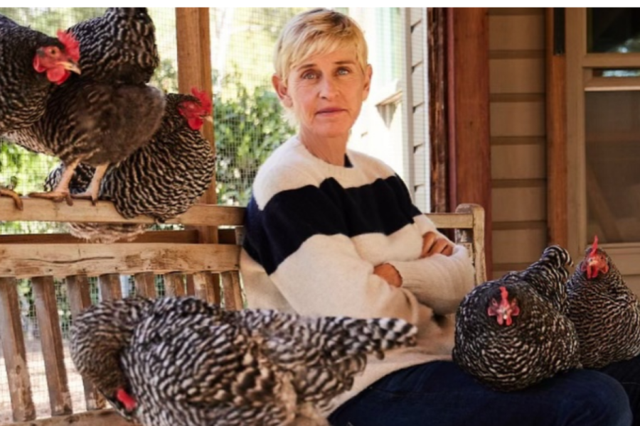 Ellen DeGeneres