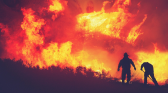 Canada Wildfire 2026