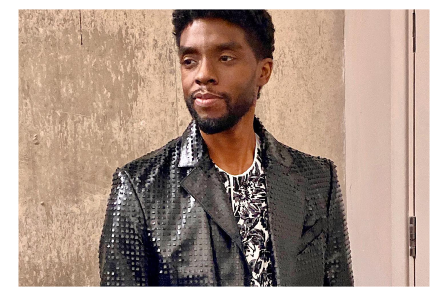 Chadwick Boseman, Black Panther of the Marvel Universe