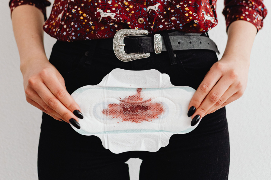 Menstruation Women's Health