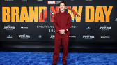 Tom Holland Spiderman: Brand New Day