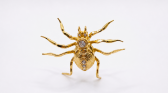 Keren Wolf spider brooch