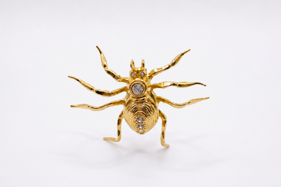 Keren Wolf spider brooch