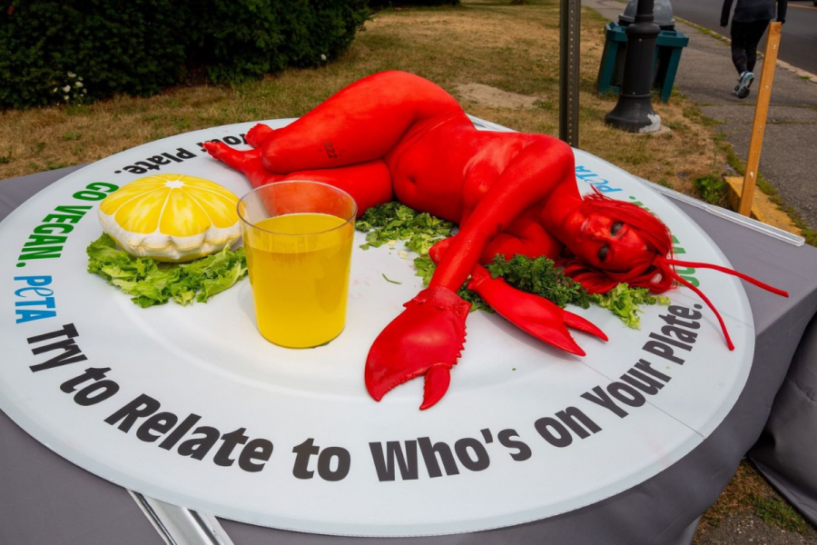 PETA's 'human lobster' on a plate outside Maine Lobster Fest
