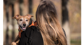 Is Preferring Pets Over People A Red Flag?