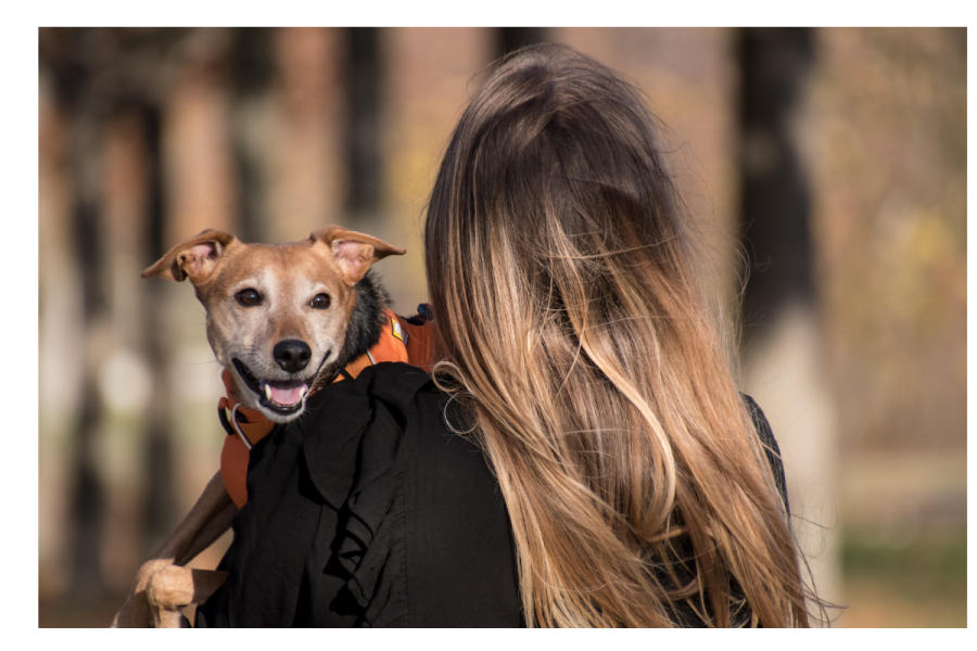 Is Preferring Pets Over People A Red Flag?