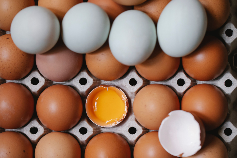 Eggs