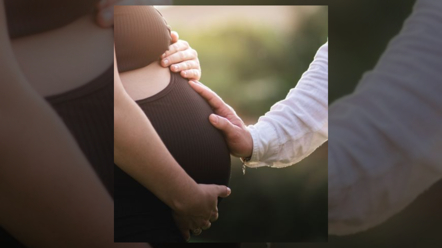 Surrogate Mom