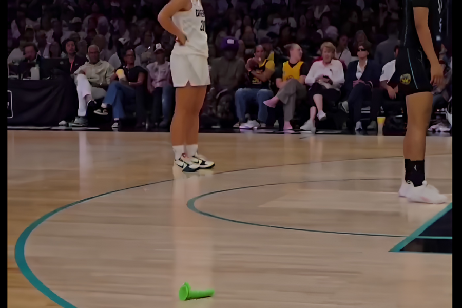 WNBA Dildo Angel Reese