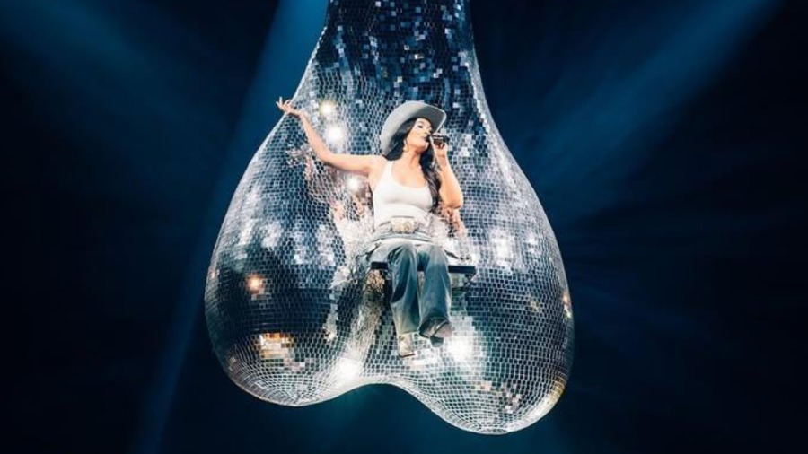 Kacey Musgraves' 'Truck Nuts' Disco Balls