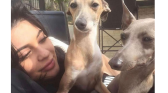 Kylie Jenner and her dogs