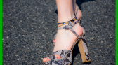 Anklet