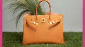 Birkin Bag