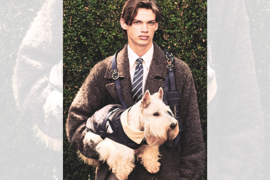 Giorgio Armani Autumn 2026 dogwear collection