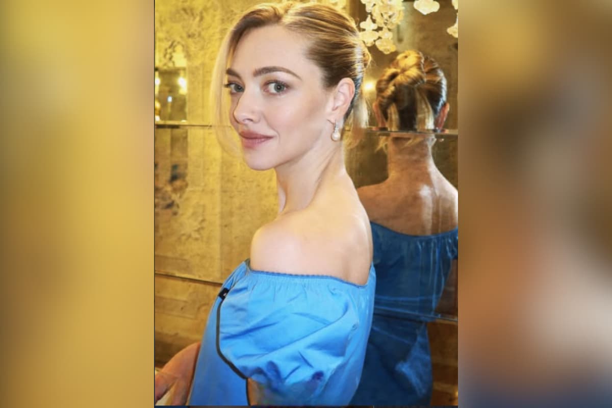 Amanda Seyfried's Nine-Year Marriage Ends After Months of Backlash: 'We ...