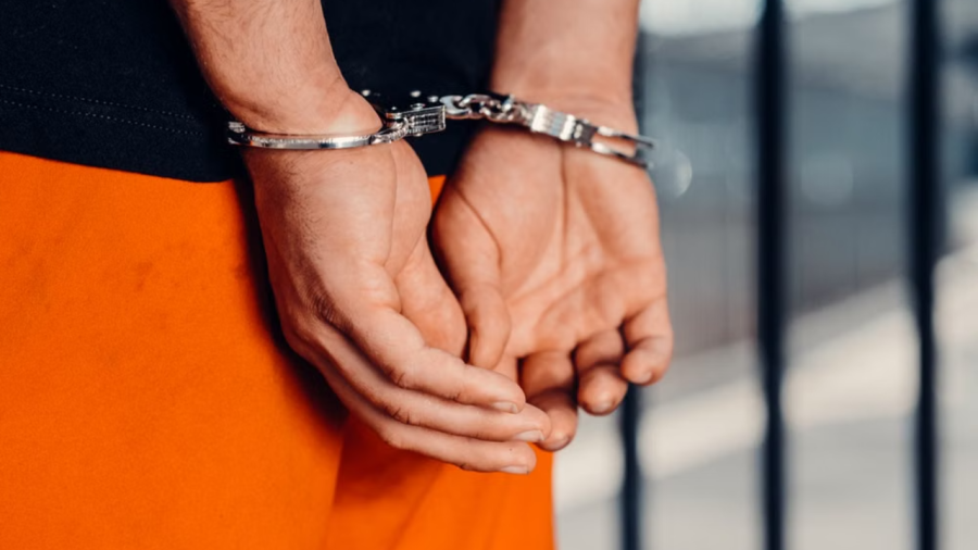 Florida Son Arrested For Hitting His Mum