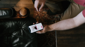 Tinder Swindler