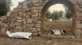 Virgin Mary statue desecration,