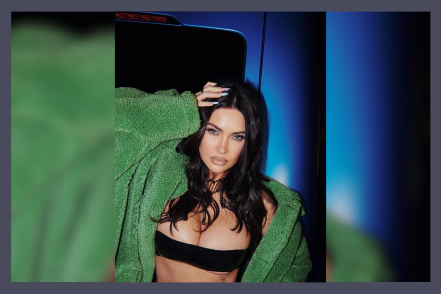 Megan Fox subs.com co-owner