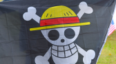 Anime flags and costumes emerge as symbols of protest