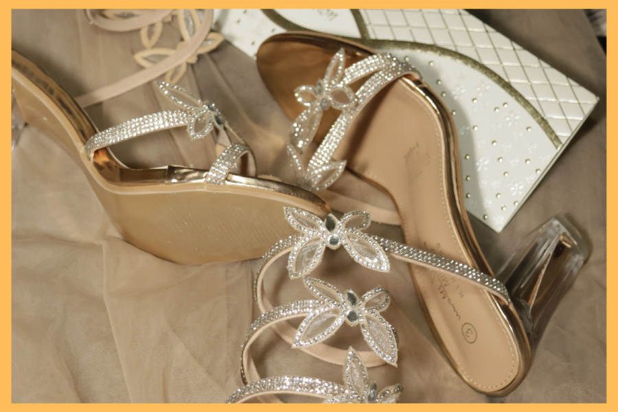 Fairy Heels