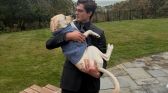 Clavicular with Dog