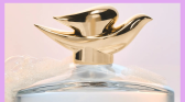 Dove Fragrance