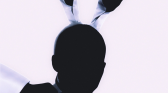 Playboy Bunny